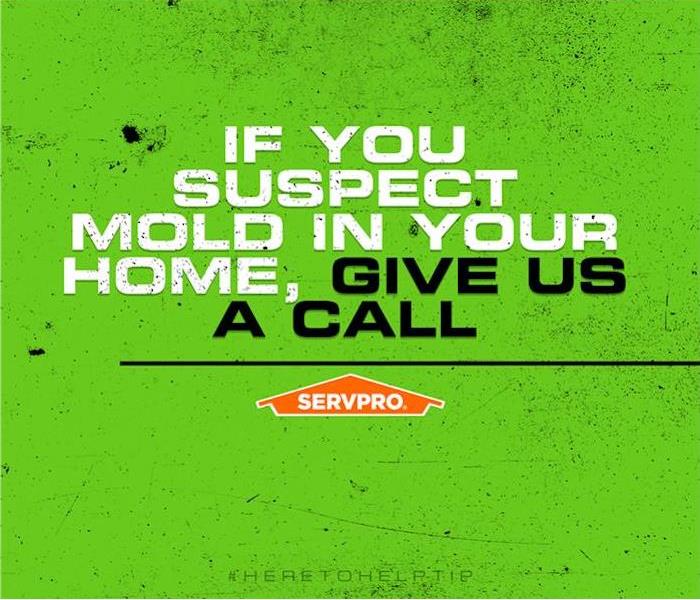 If you suspect mold give us a call poster